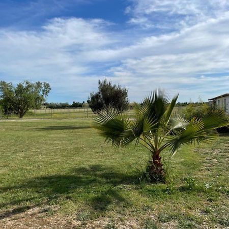« La Parenthese » Gite En Camargue Arles Exterior foto