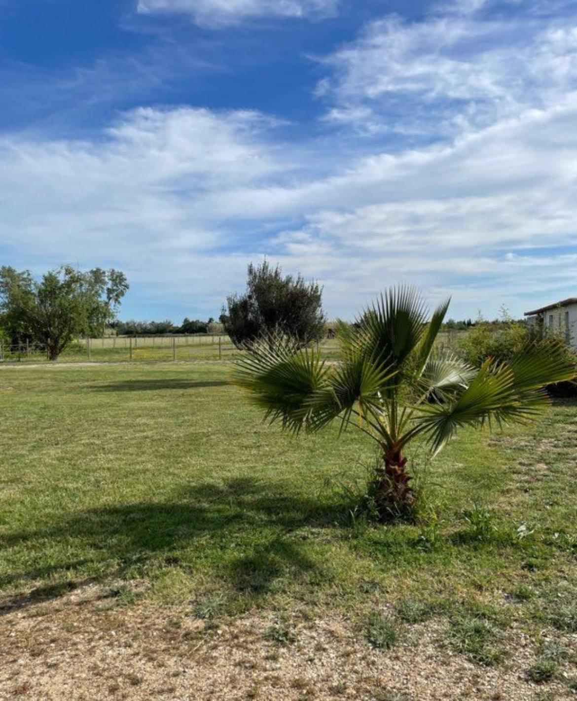 « La Parenthese » Gite En Camargue Arles Exterior foto